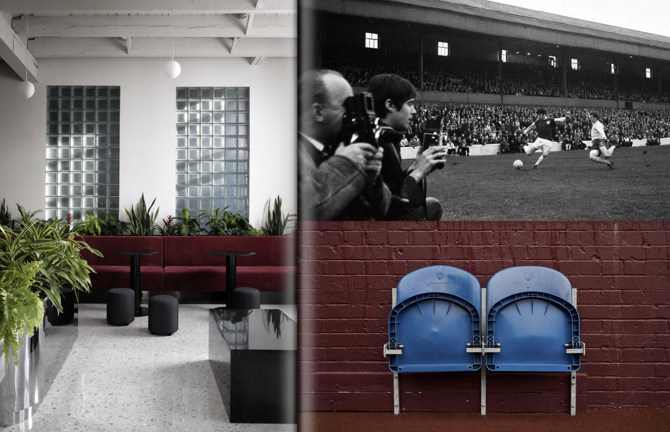 Cargo layout — plants, archive photographers, blue seats
