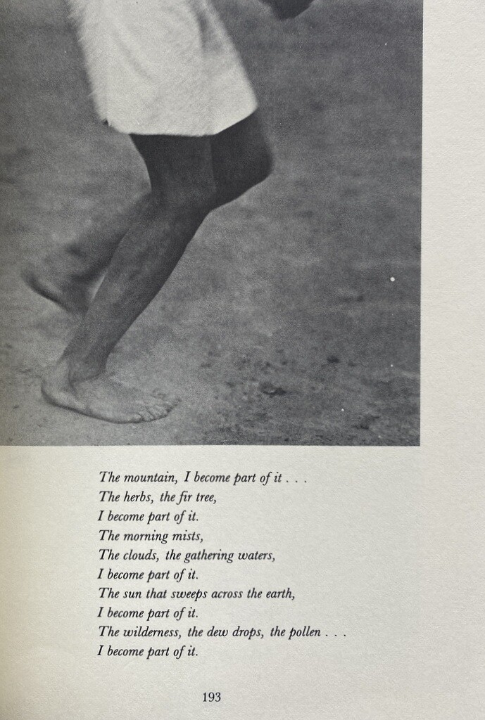 I Become Part of It — Mike Spino
